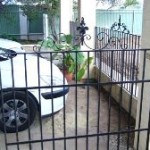 Wrought iron gate and fence panel