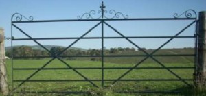Eleanor wrought iron farm gate