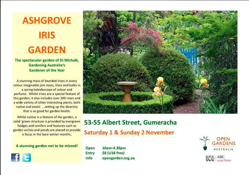 Ashgrove iris garden open garden 2014